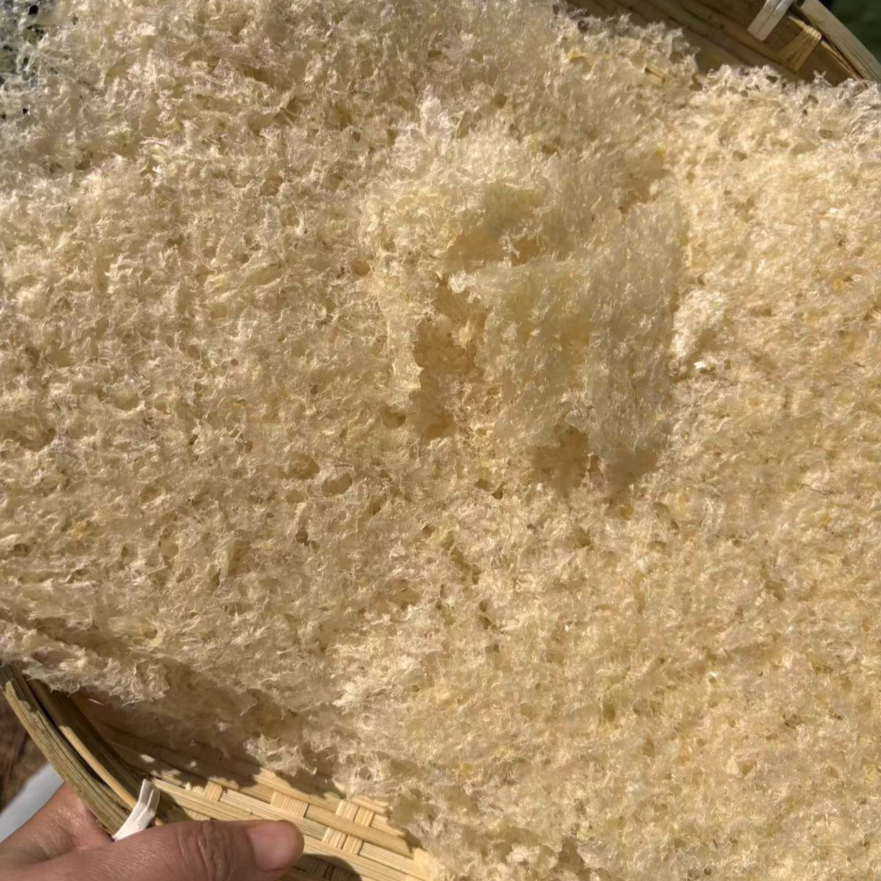 云南土特产--本草-银尔