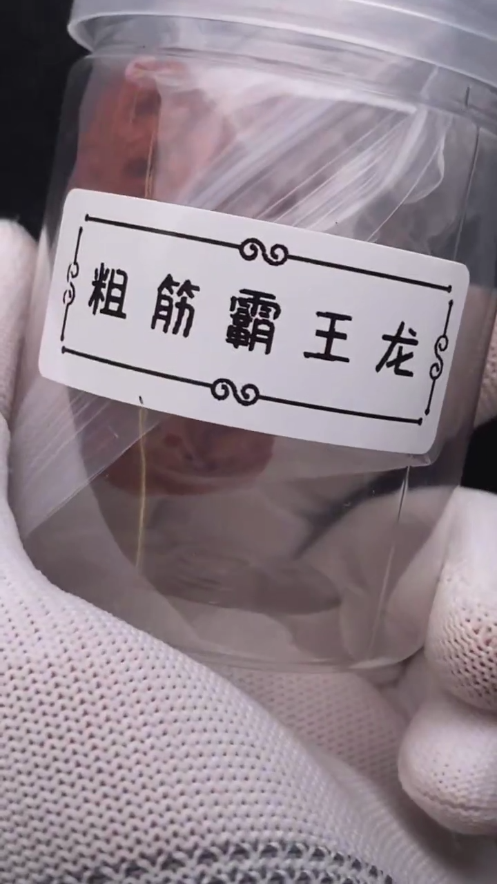 【闪购商品】文玩核桃把件粗筋霸王龙