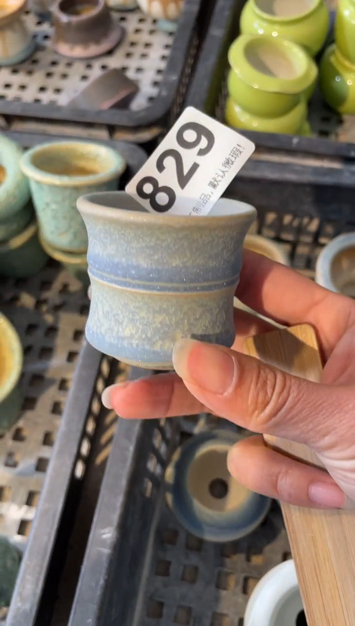 瓷片2*_829小芳直播编号