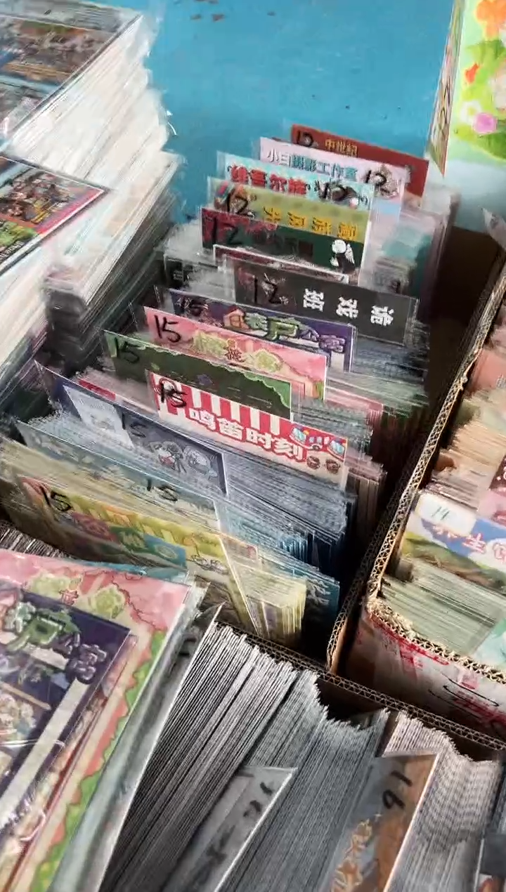 pet加加减减 12期