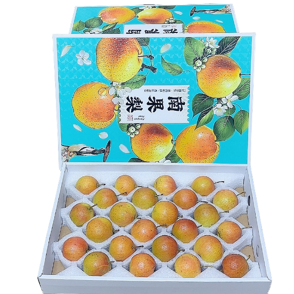 【臻果汇】辽宁鞍山南果梨礼盒5斤净果 细腻香甜 顺丰包邮