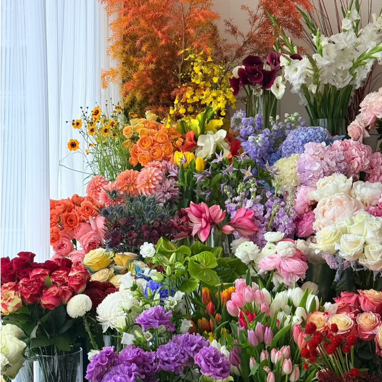 【大力甄选】AA级惊喜大礼包 云南基地现采现发 一单包邮