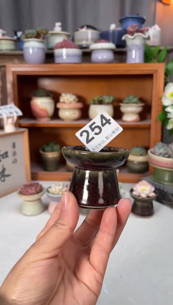 瓷片254小芳直播编号