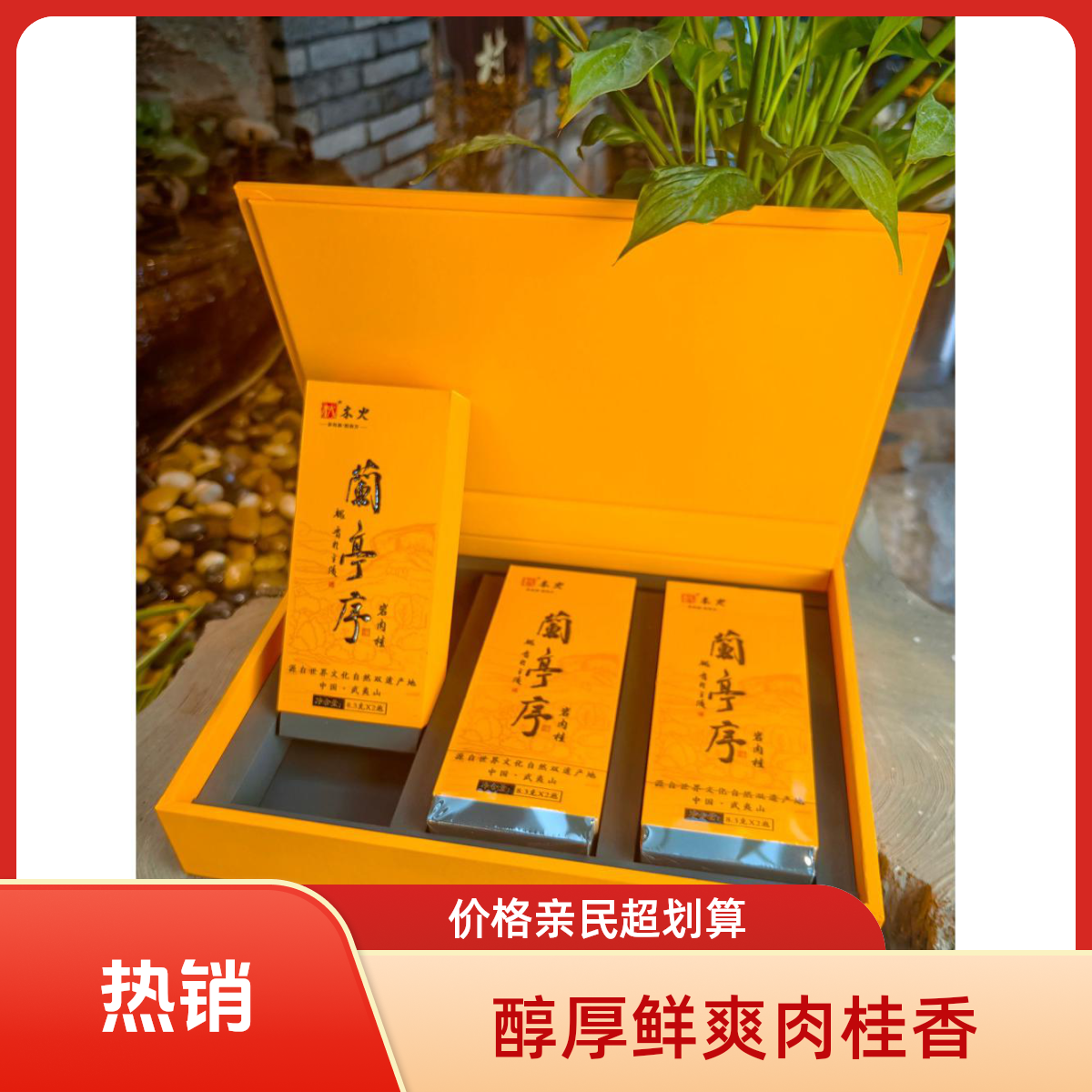 木火茶业 兰亭序 岩肉桂50g*6泡纸礼盒礼袋送礼茶250g武夷岩茶叶