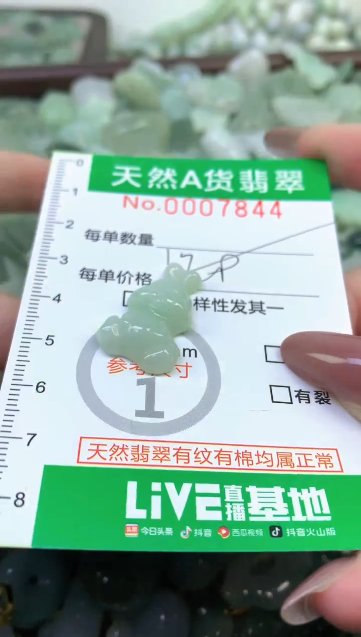 颈饰未镶嵌翡翠纯天然缅甸A货翡翠