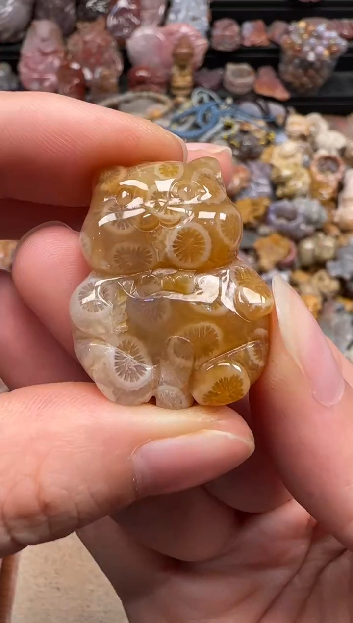 【闪购商品】硅化珊瑚（珊瑚玉）颈饰未镶嵌034