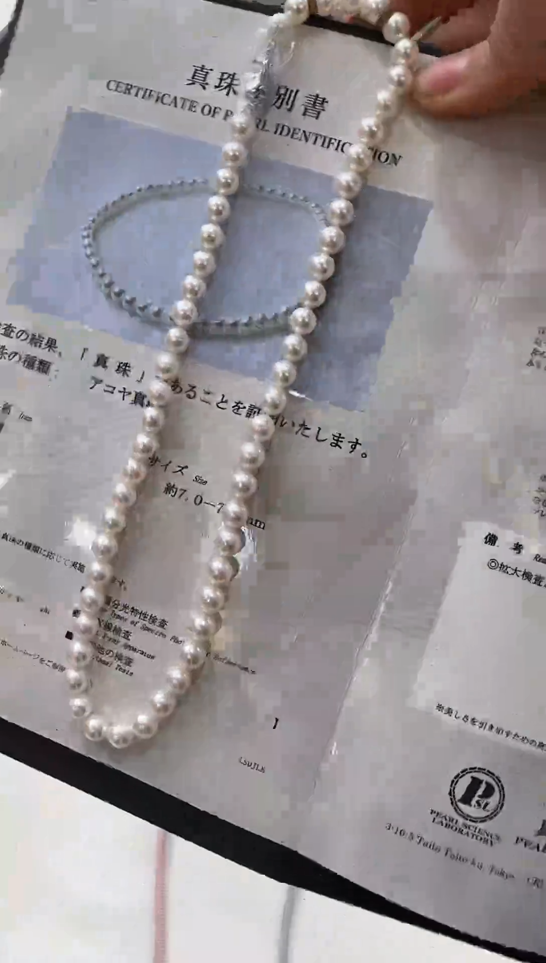 【闪购商品】海水珍珠NN未镶嵌7-8珍珠串链带大证@@EZ007