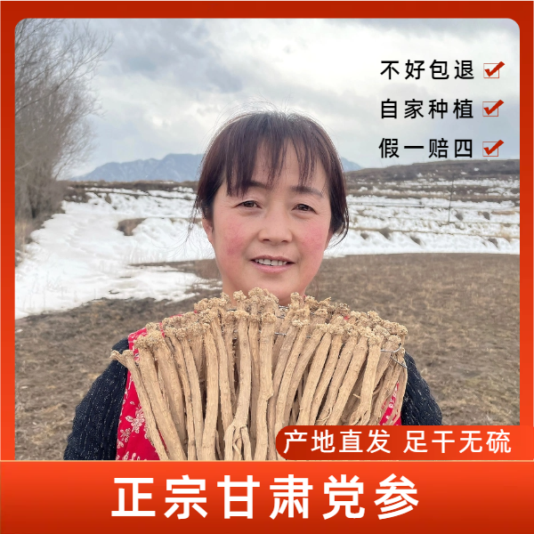 甘肃渭源白条党参（小条）自家种植无硫熏原产地直发泡水煲汤