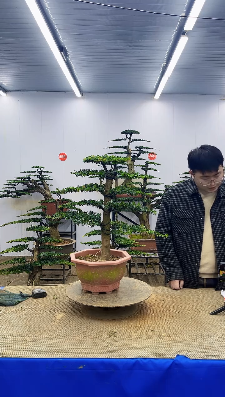 完全开放一物一拍，所见即所得