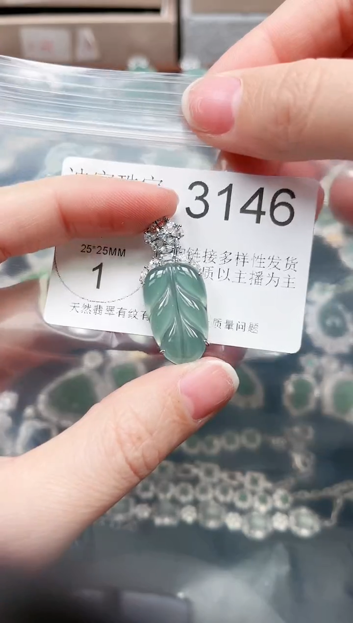 【闪购商品】翡翠颈饰未镶嵌3146赠皮绳