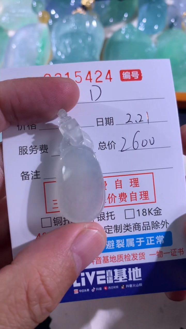 【闪购商品】翡翠颈饰未镶嵌D艾