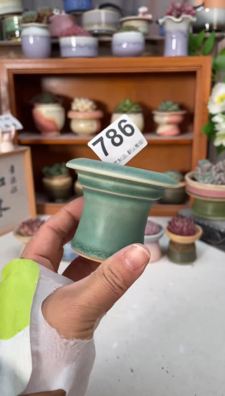 瓷片786小芳直播编号