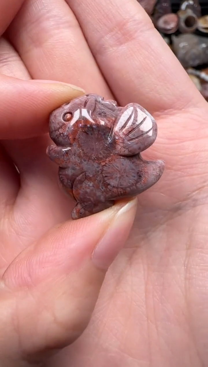 颈饰未镶嵌硅化珊瑚（珊瑚玉）369