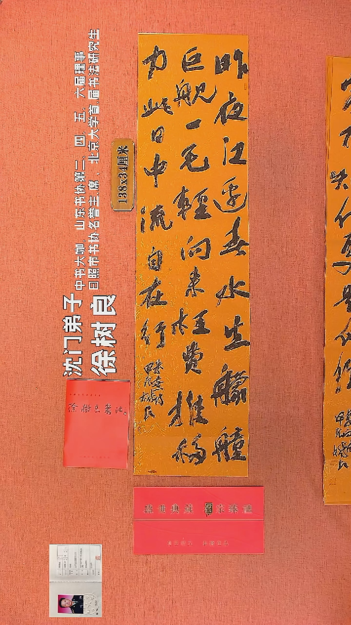 【闪购商品】书法33      徐树良书法作品