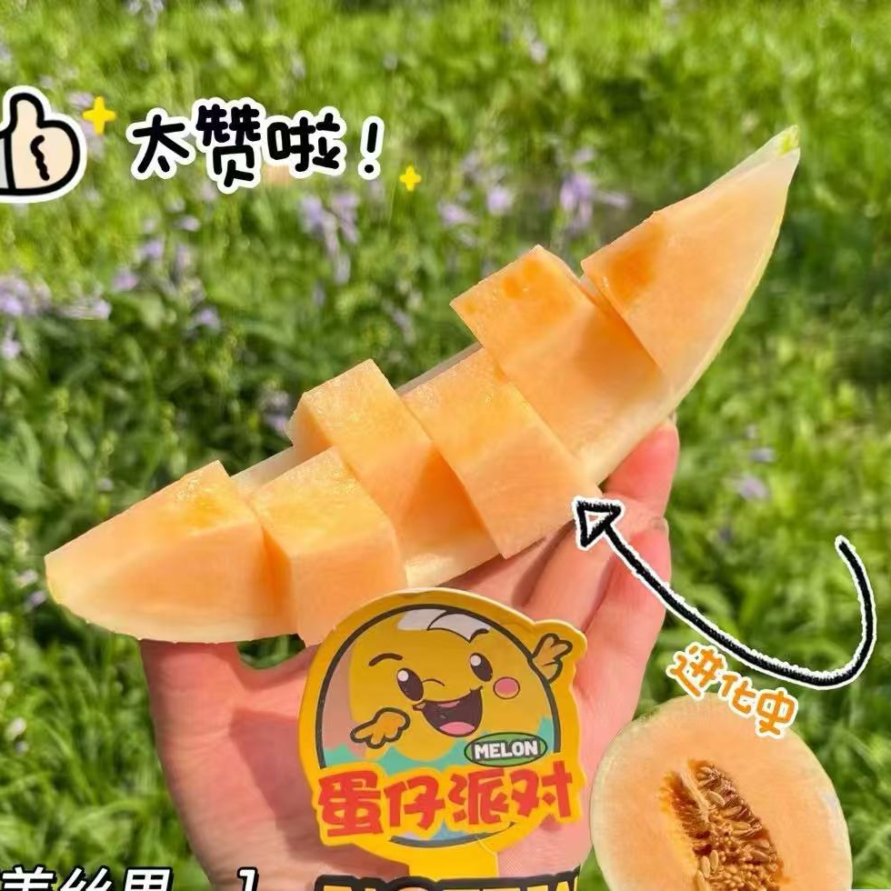 【果真不错】恐龙蛋蜜瓜 皮薄肉厚，脆甜多汁，甜度高（武汉小时达同城配送）