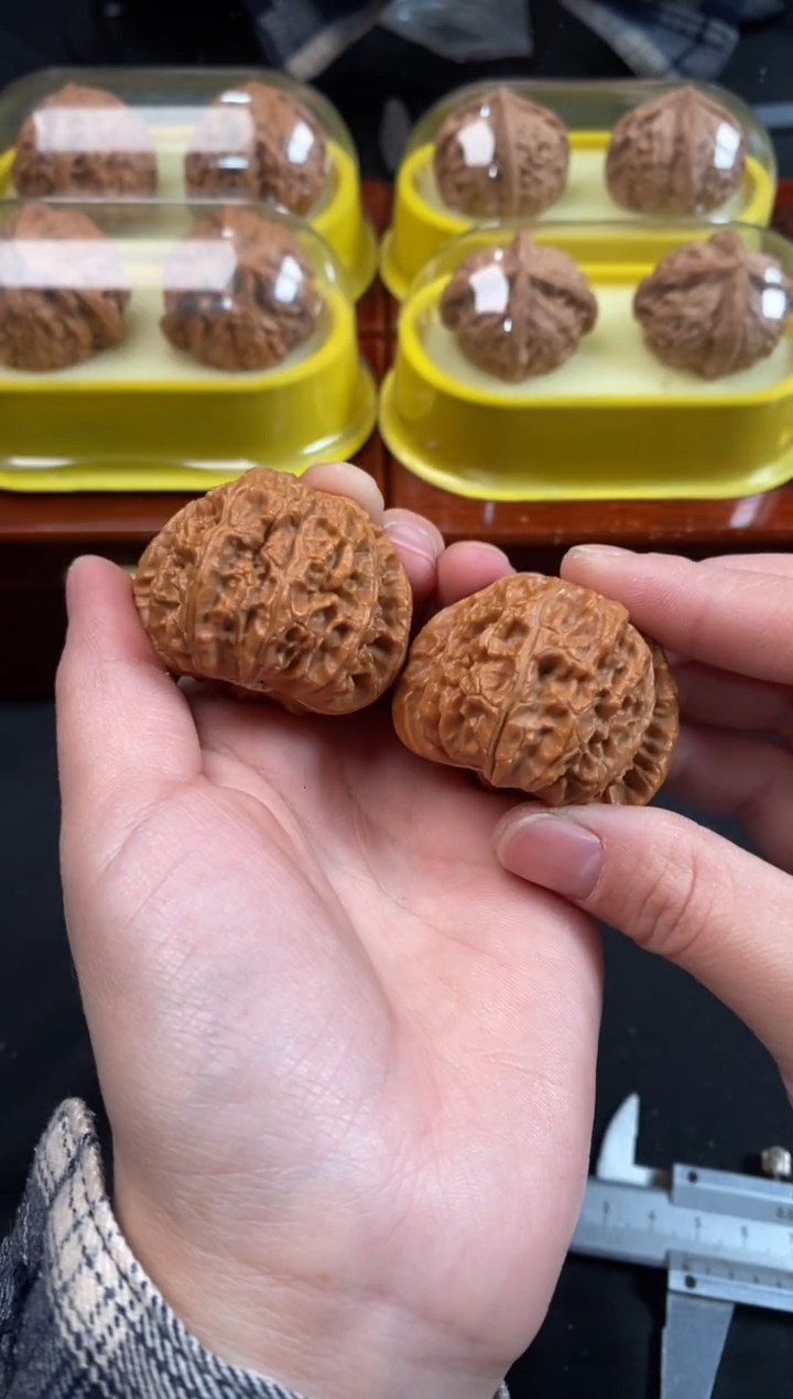 把件文玩核桃白狮子41尺F529