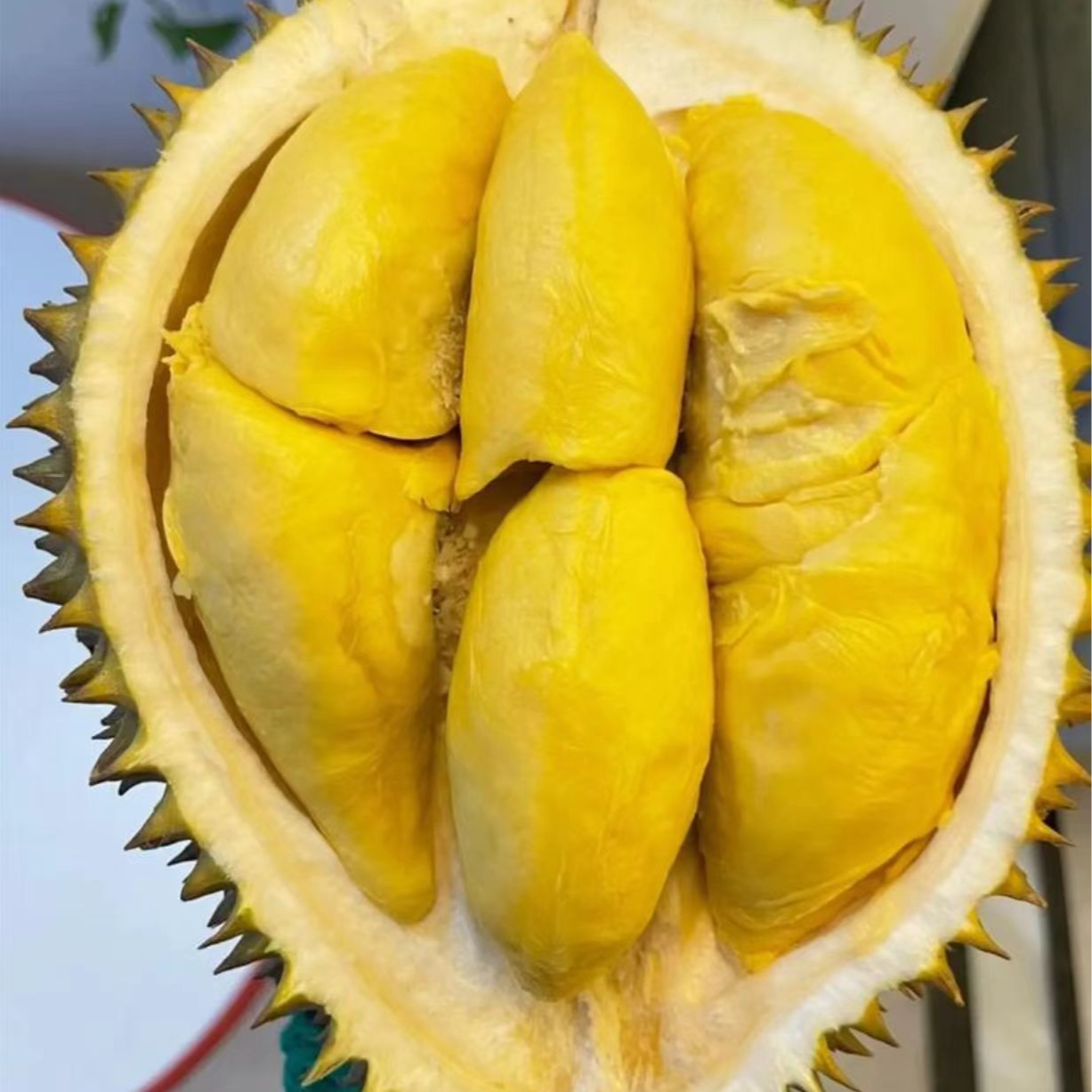 【顺丰包邮】泰国金枕新鲜榴莲干包软糯2-8斤顺丰空运次日达肉厚核小勿生切01榴莲同城送金枕泰国南部