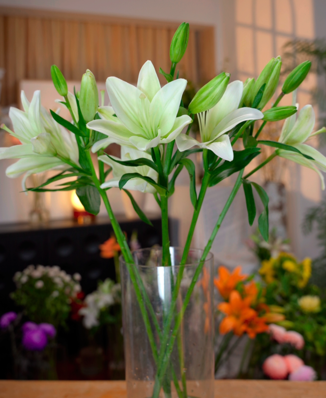 白色亚百合多头云南直发昆明基地鲜切花百合花水养插花