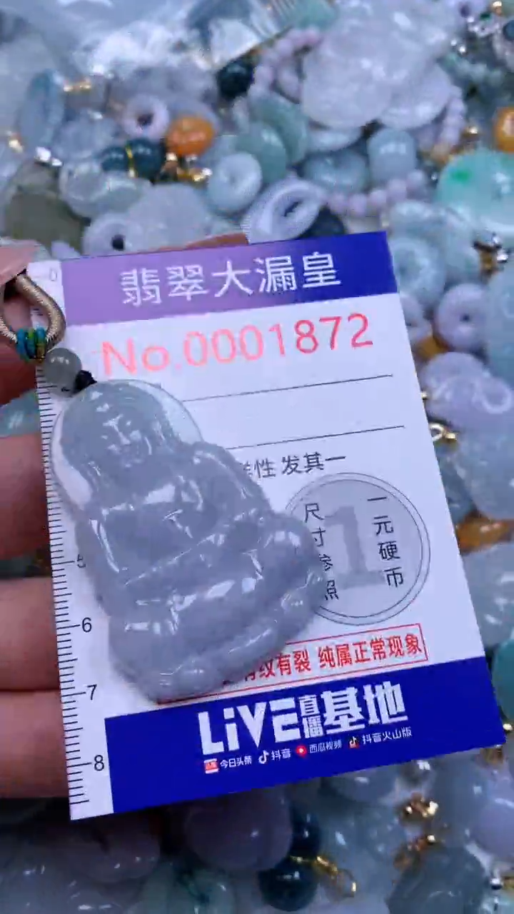 翡翠未镶嵌吊坠(不含链)1872