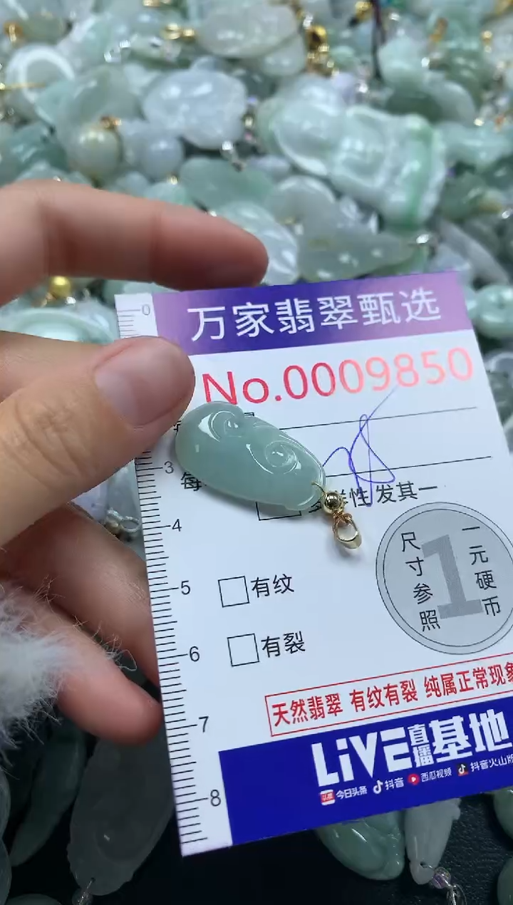 吊坠(不含链)未镶嵌翡翠9850