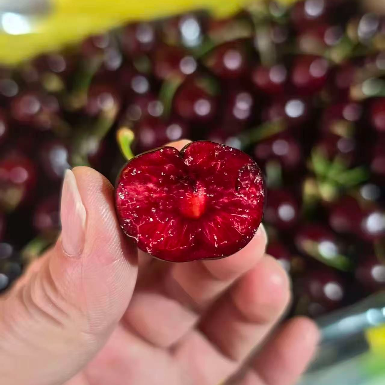 智利海运JD车厘子0.5KG桑提娜智利