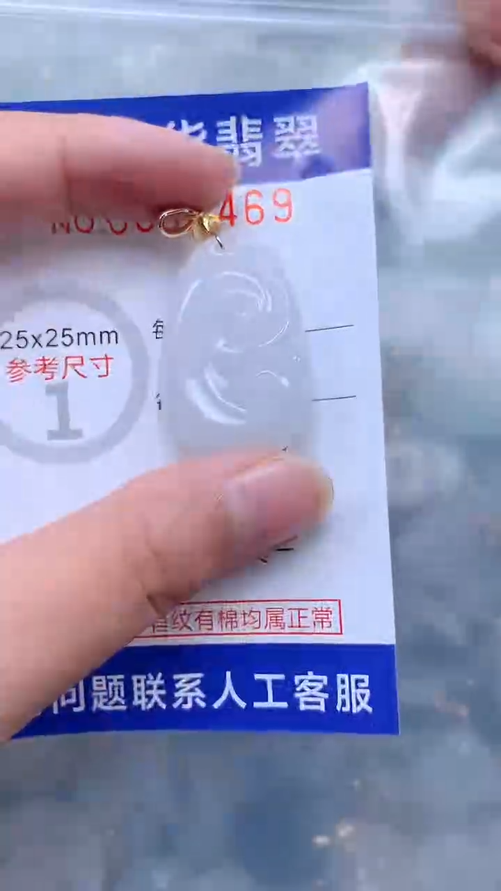 翡翠未镶嵌吊坠(不含链)1