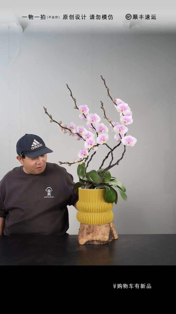 【闪购商品】055号链接【一物一拍】艺术盆景