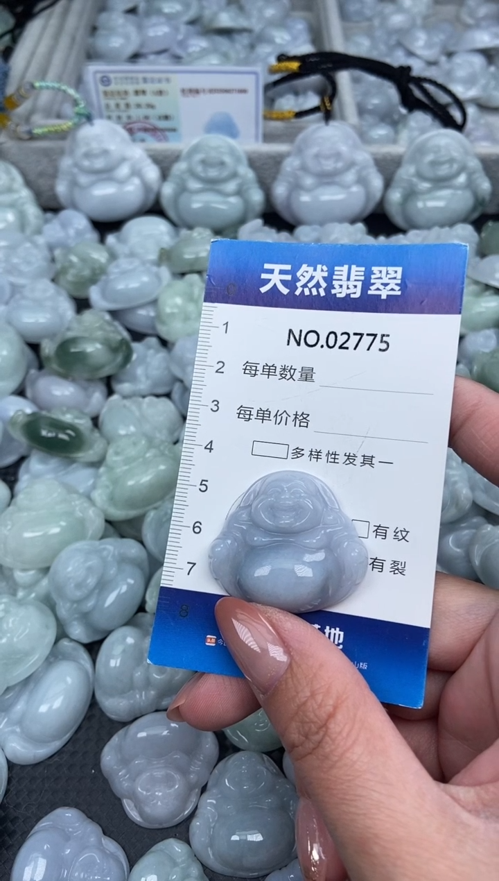 颈饰未镶嵌翡翠纯天然A货翡翠2775