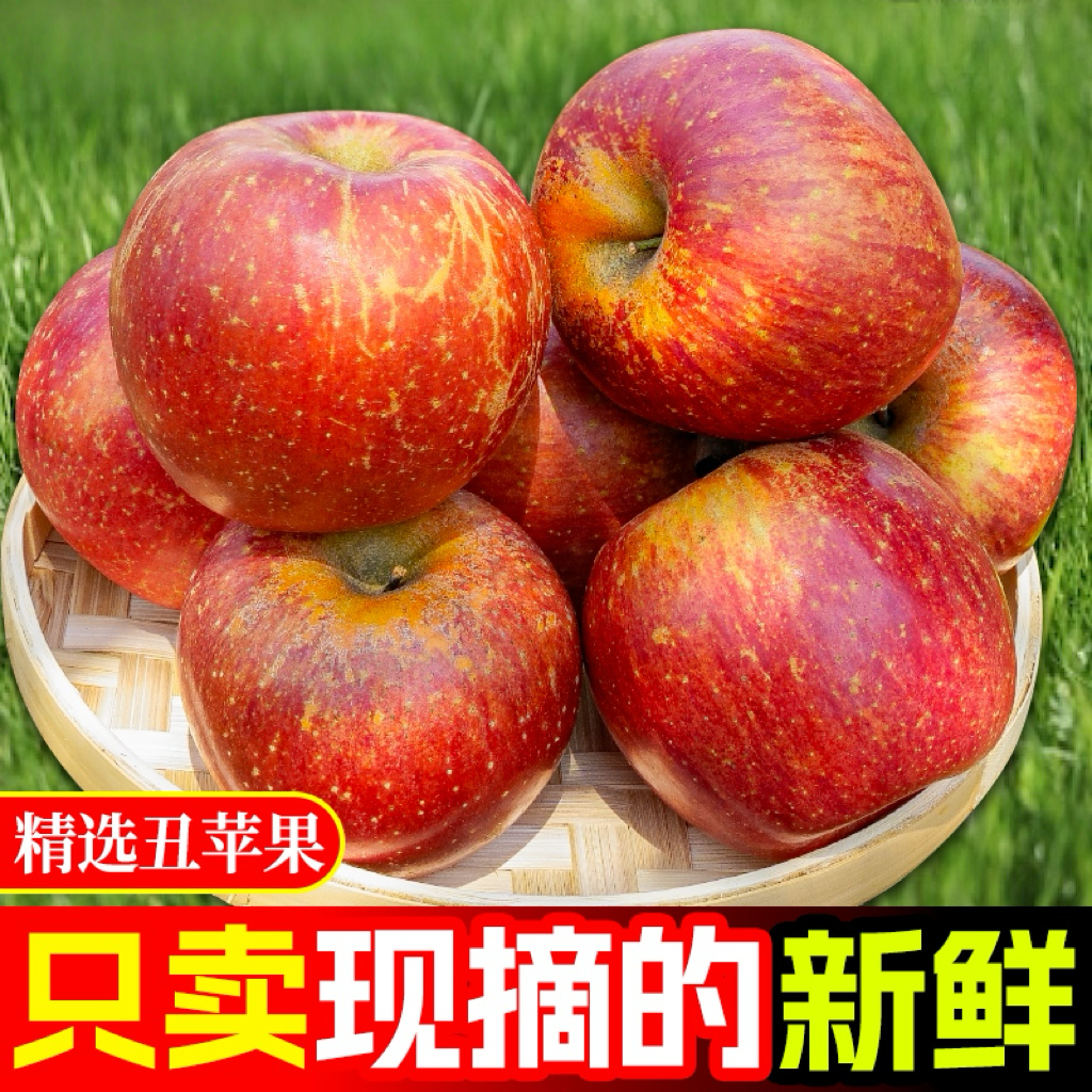 云南正宗应季红苹果昭通冰糖心丑苹果新鲜大凉山脆甜水果产地直发