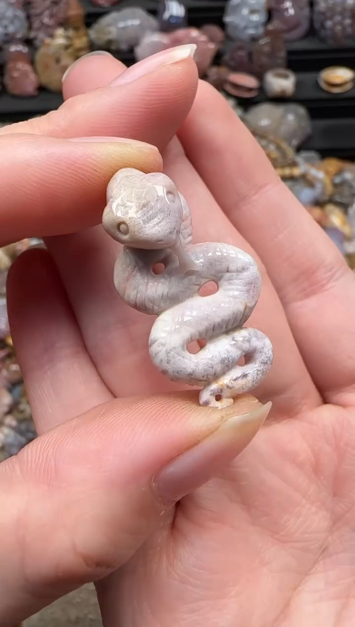 颈饰未镶嵌硅化珊瑚（珊瑚玉）110