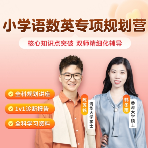 GT小学语数英专项规划营