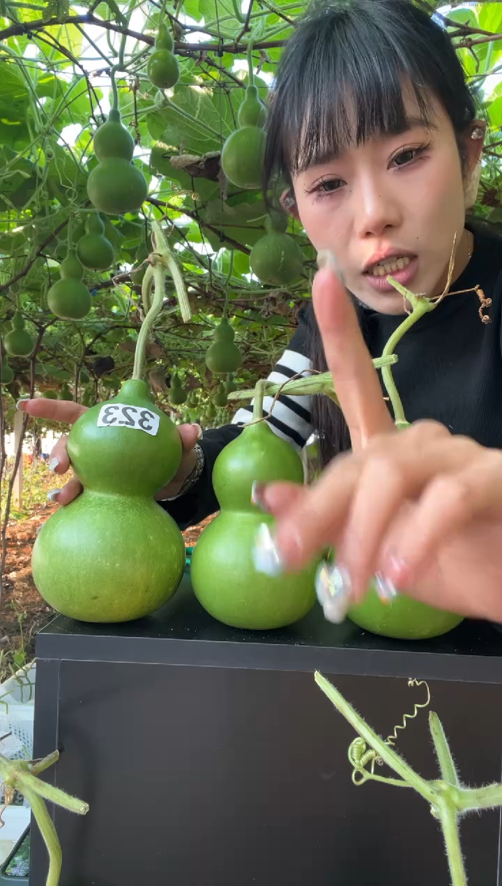 曾*323天然葫芦摆件 一物一拍龙头不保售后