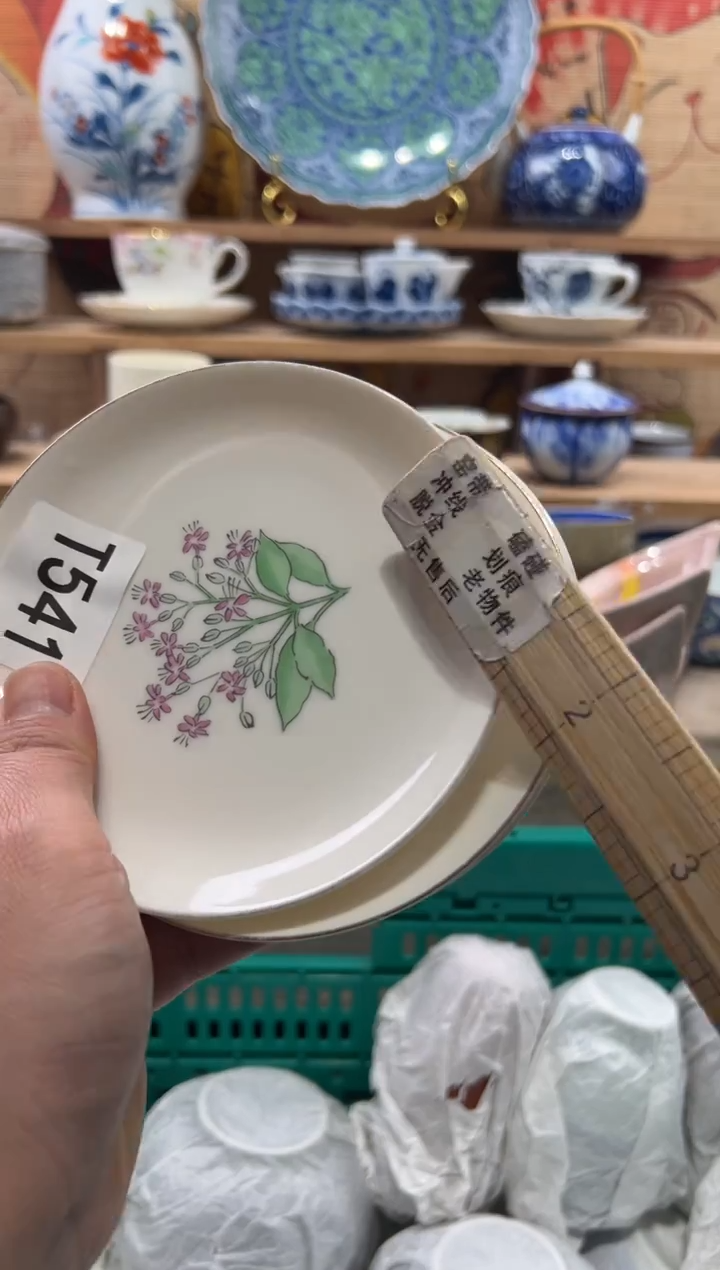 瓷片薛****蛇瓷片------T541