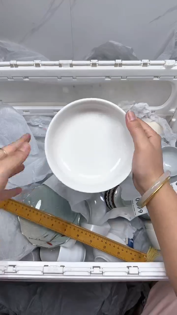 【闪购商品】399回流瓷器默认微瑕，18.8包邮