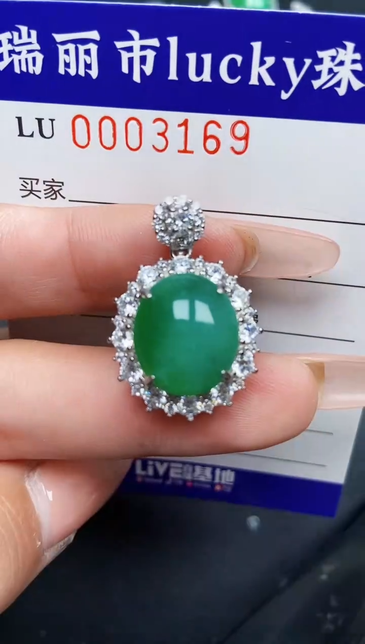 【闪购商品】翡翠颈饰银S925镶嵌3169