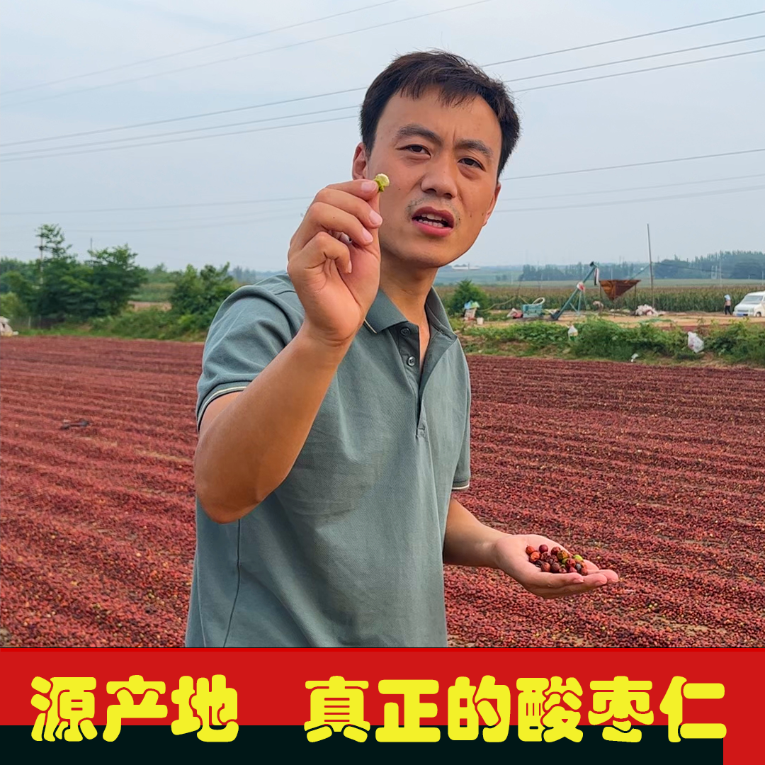 【超细的真正熟酸枣仁粉】内丘手工精选正宗酸枣仁粉180g