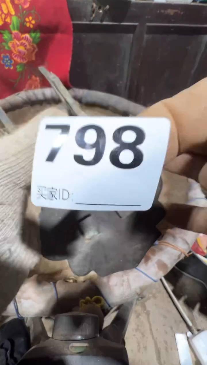 无*08180老王直播间专属链接