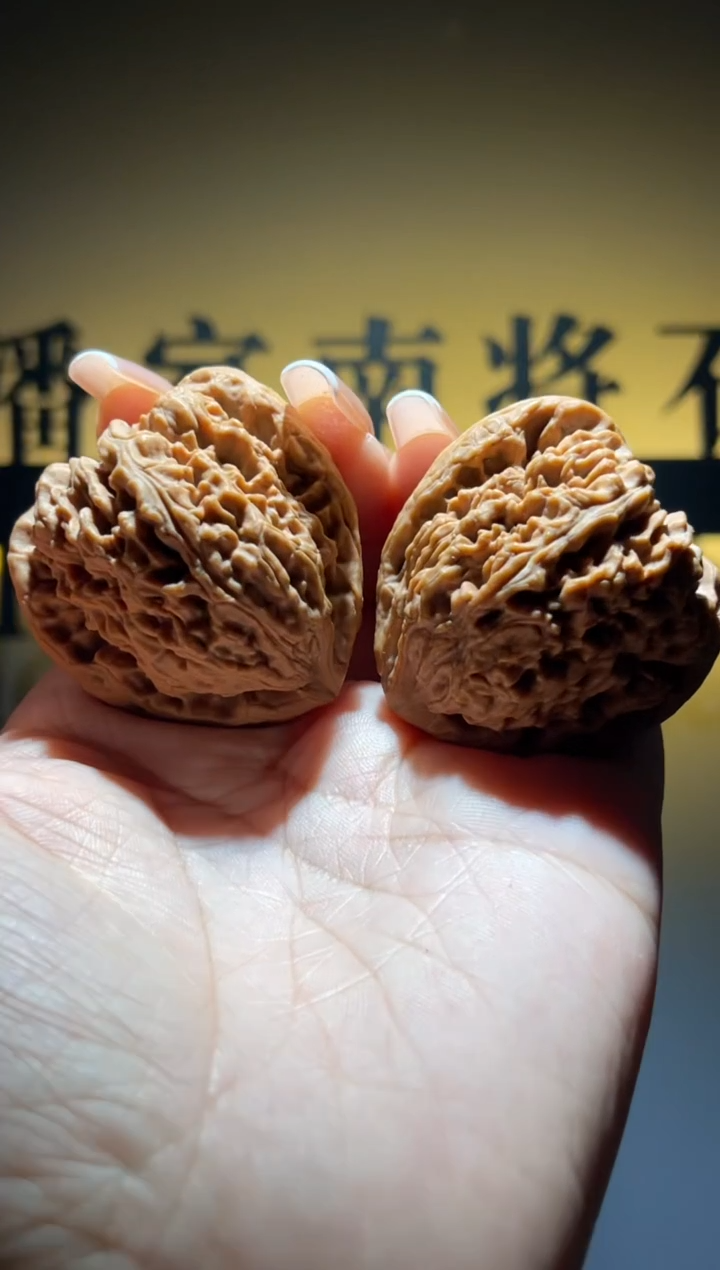 吊坠文玩核桃大*阳南将