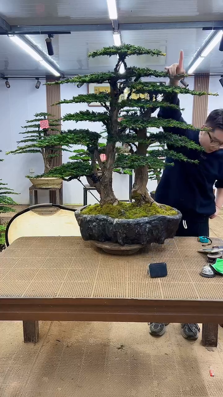 无花朵0000000000000000