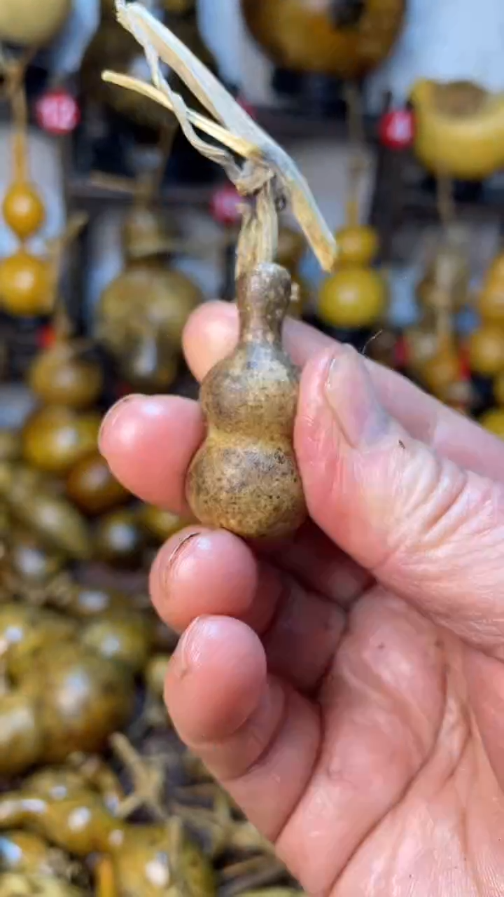 【闪购商品】葫芦葫芦葫芦葫芦葫芦