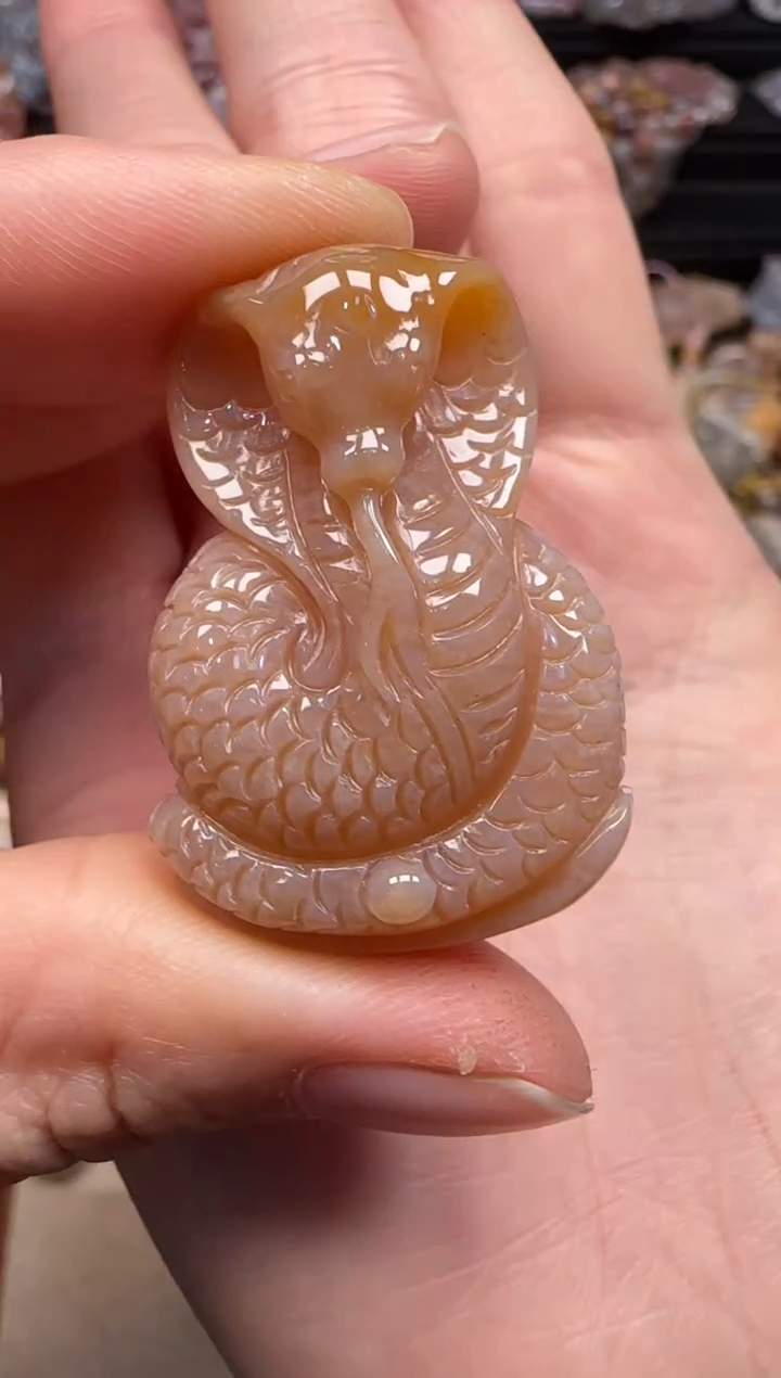 【闪购商品】硅化珊瑚（珊瑚玉）颈饰未镶嵌188