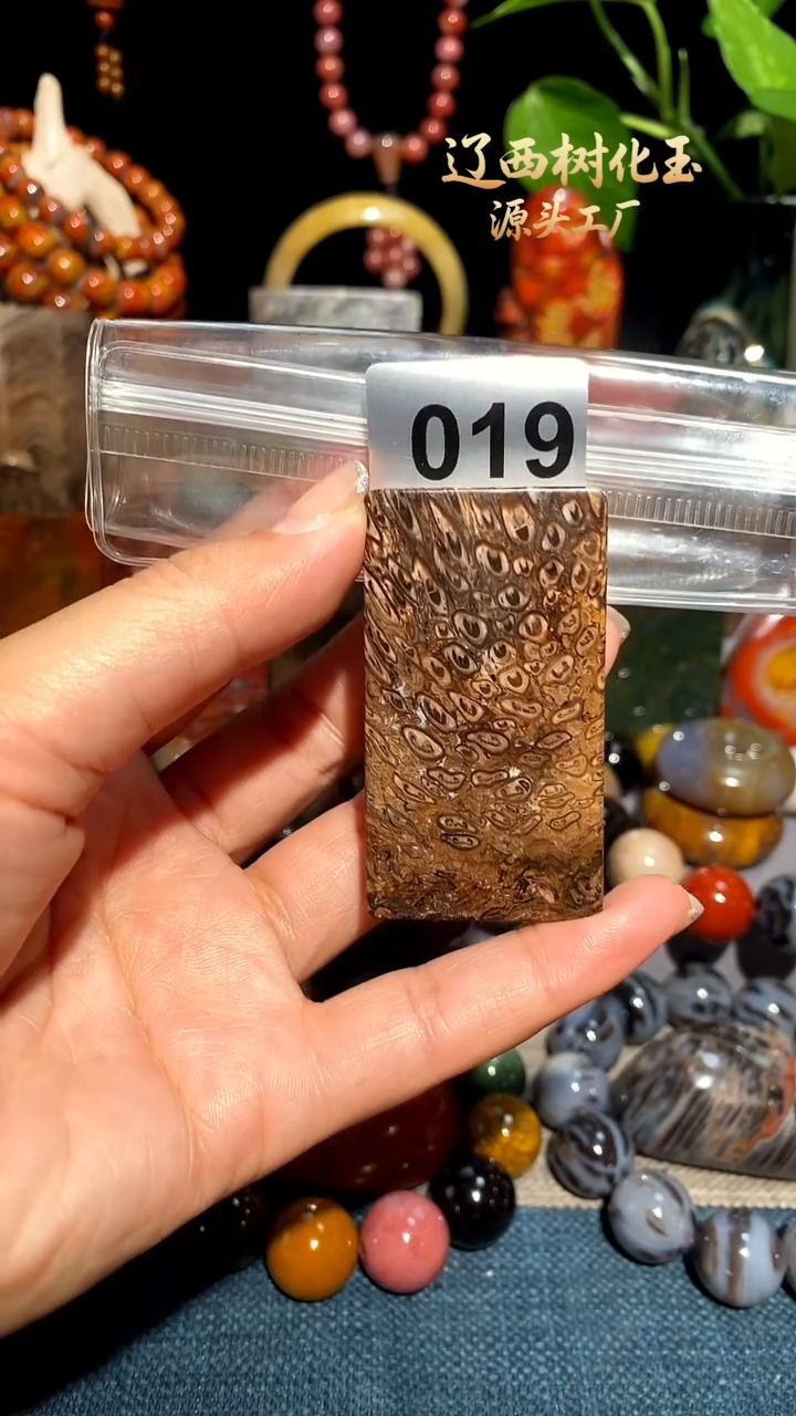 未镶嵌-硅化玉天然北票硅化玉吊坠