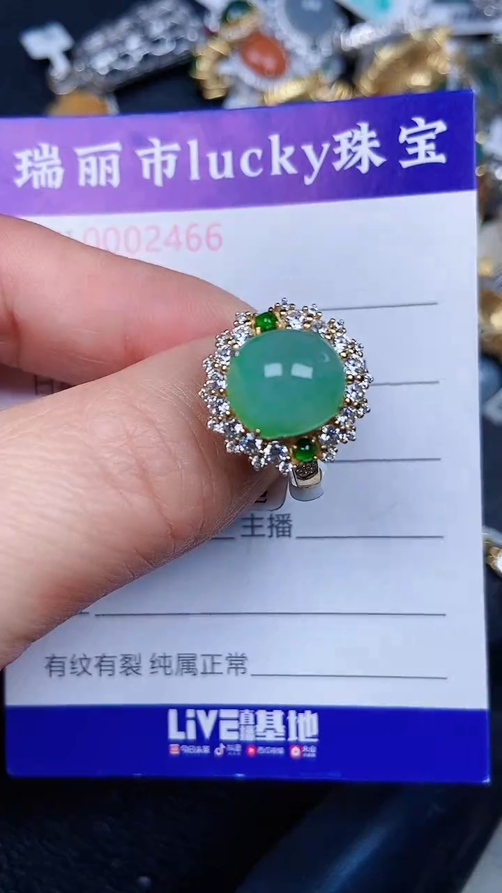 颈饰银S925镶嵌翡翠2466
