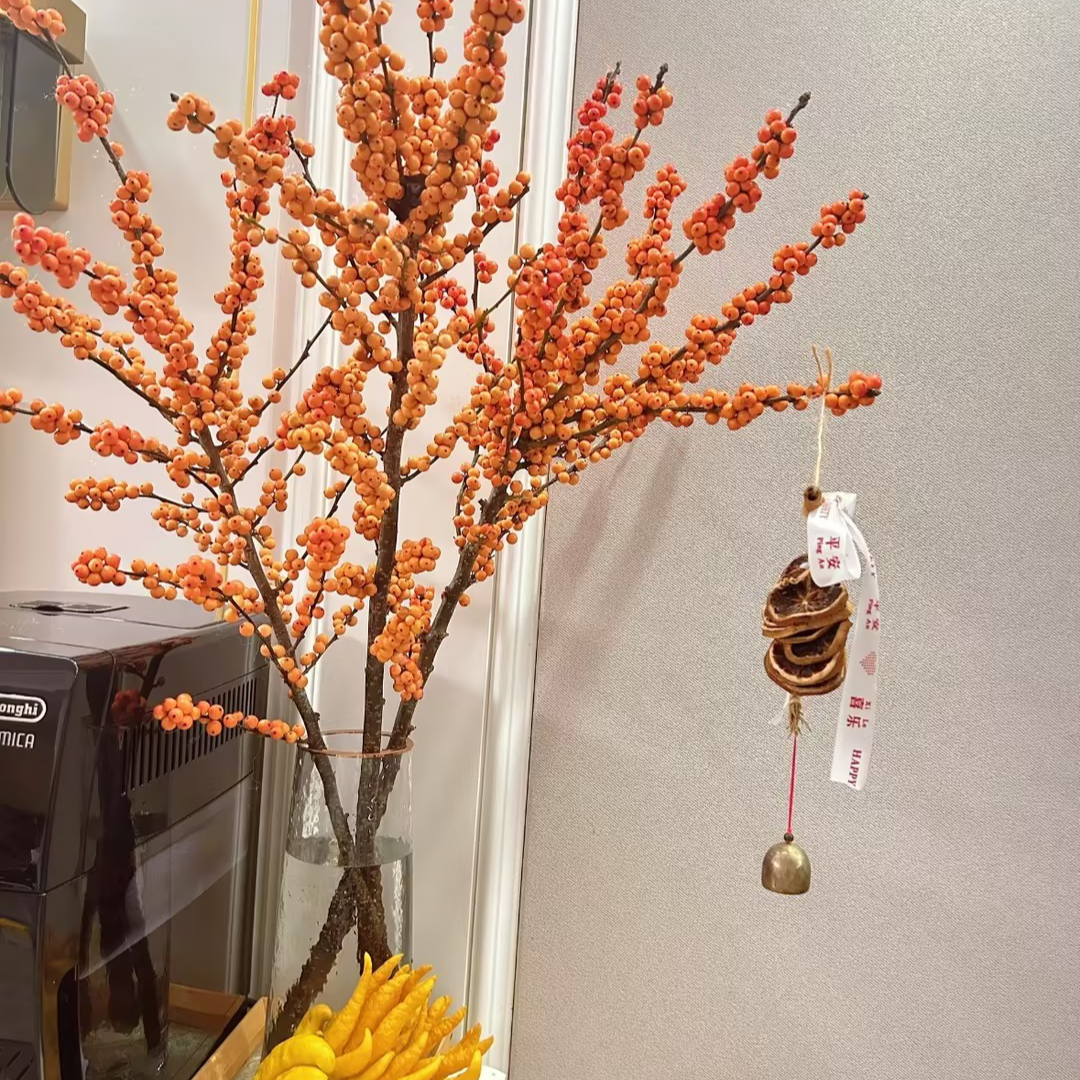 【一品花集】年宵花【爱马仕橙】冬青过年养护密果（一单包邮）