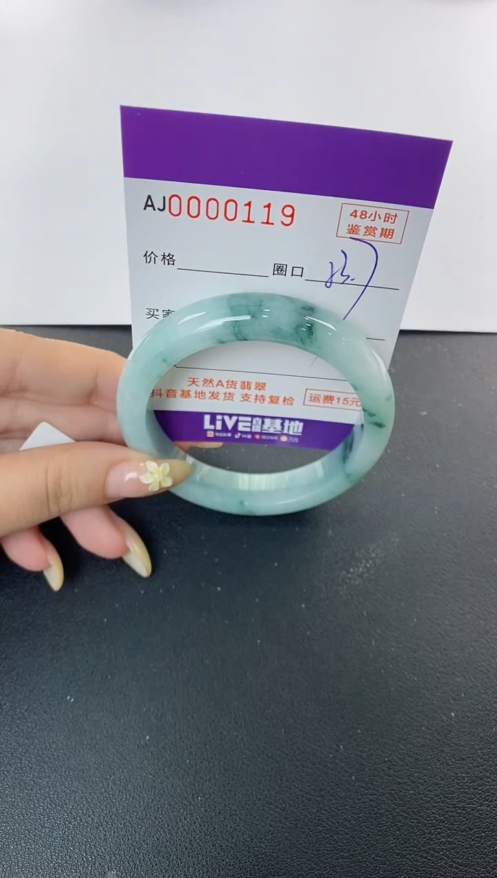 未镶嵌手镯翡翠天然A货翡翠