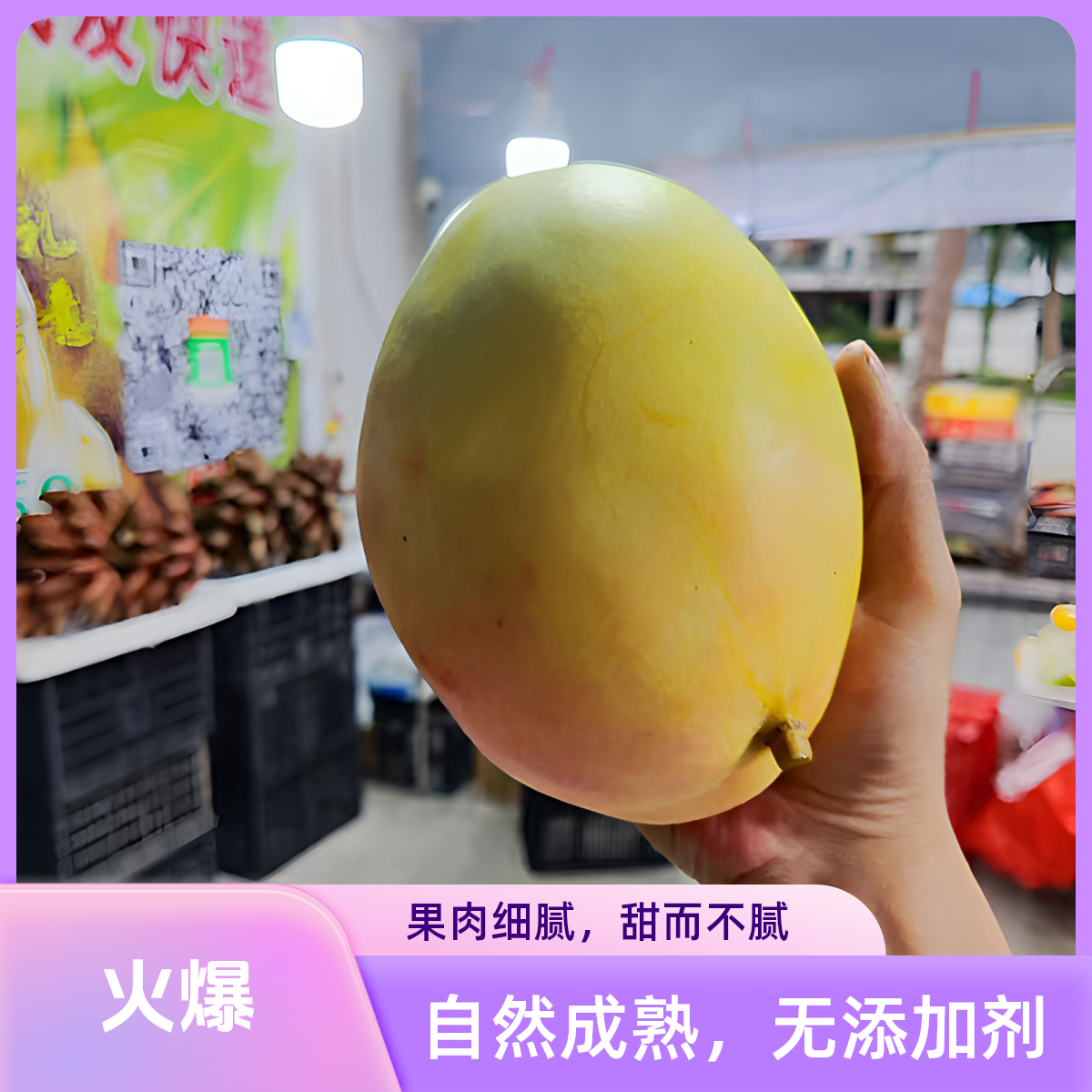 海南凯特芒果新鲜应季现摘现发细腻化渣酸甜多汁