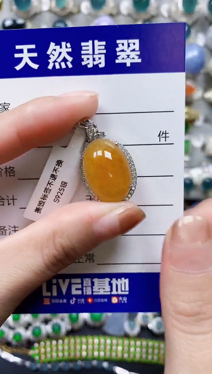 【闪购商品】翡翠颈饰银S925镶嵌0220