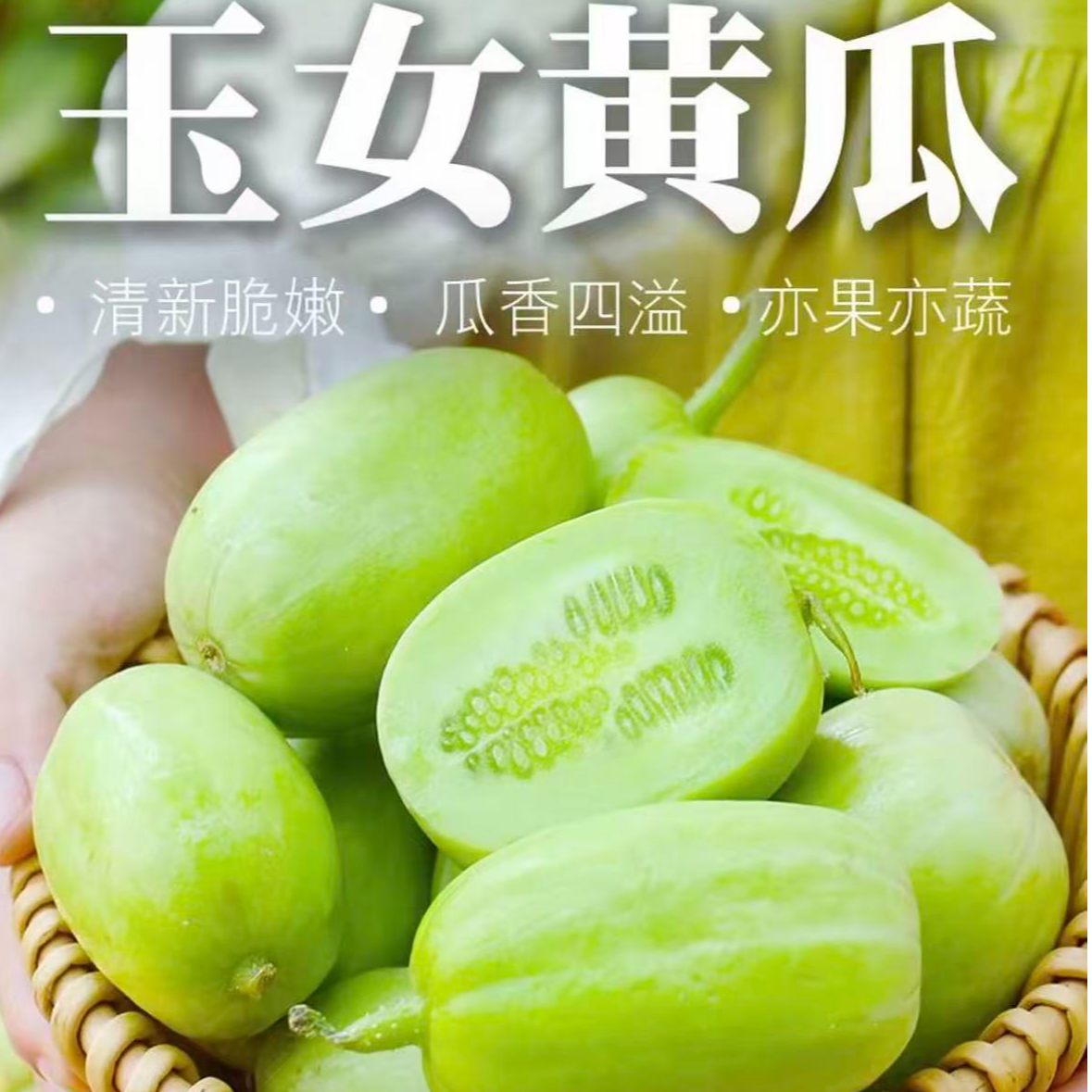 山东寿光玉女黄瓜新鲜现摘水果小黄瓜