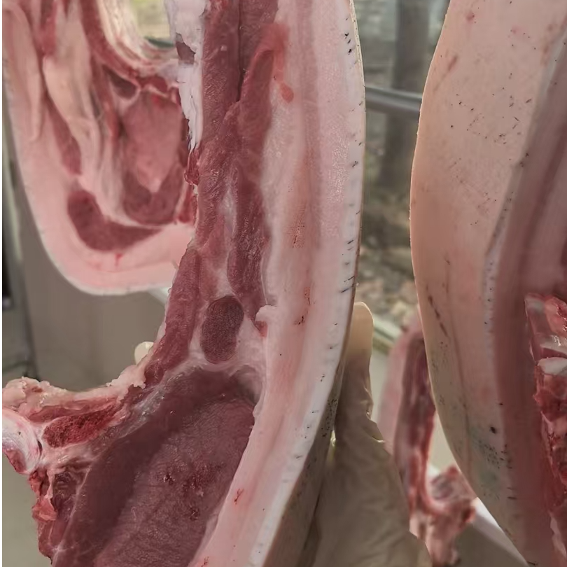 健园散养厚皮黑毛土猪硬肋