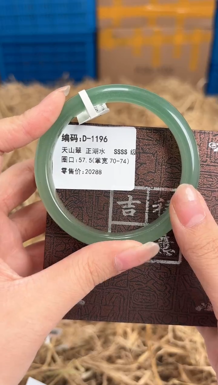 未镶嵌手镯石英质玉D-1196